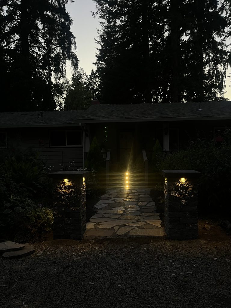 Outdoor lighting illuminating a front garden walkway.