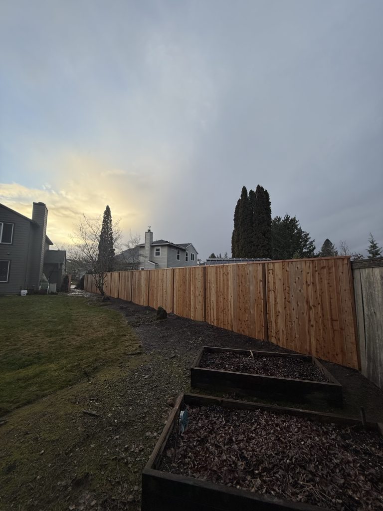 A cedar fence in the evening light.