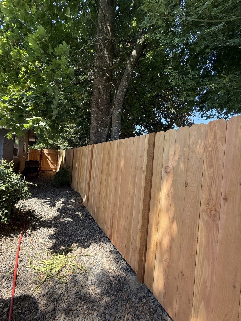 Cedar fencing along a narrow residential side yard.